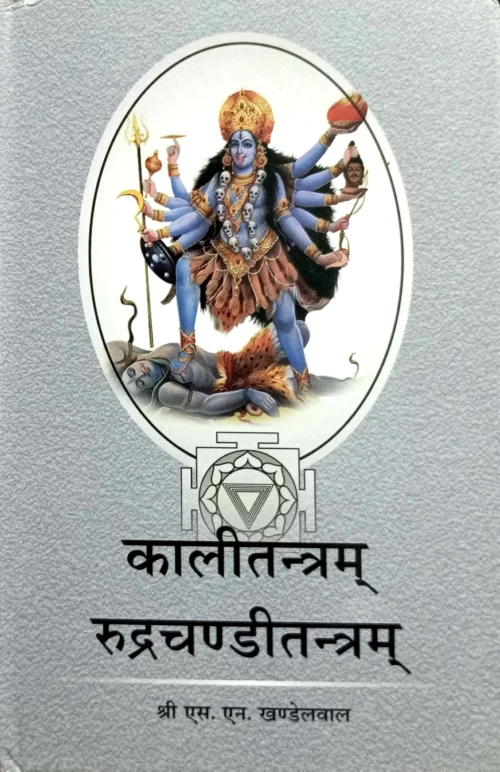 Kali Tantram Rudrachandi Tantram (CSBG 528)